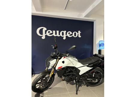 PEUGEOT PM-03 300 ROADSTER