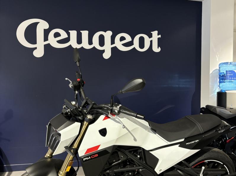 PEUGEOT PM-03 300 ROADSTER